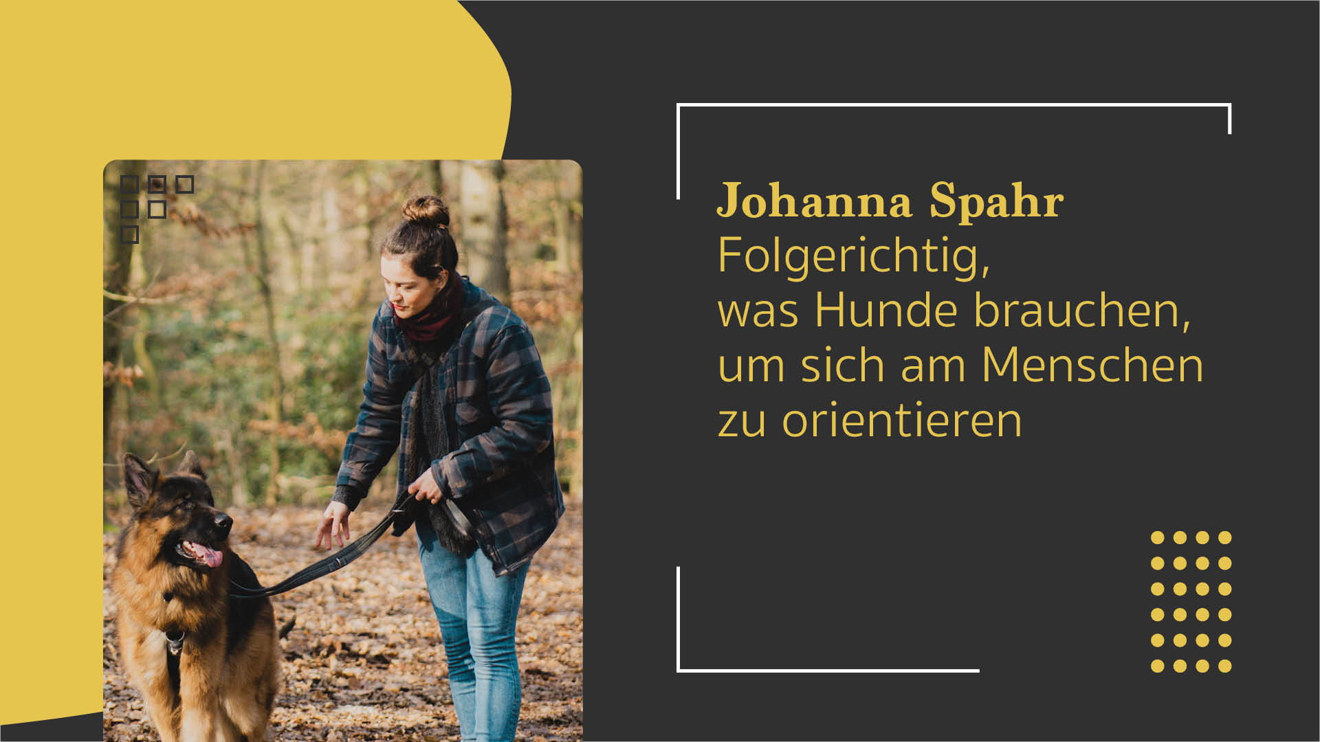 Johanna Spahr: Folgerichtig, was Hunde brauchen, um sich am Menschen zu orientieren