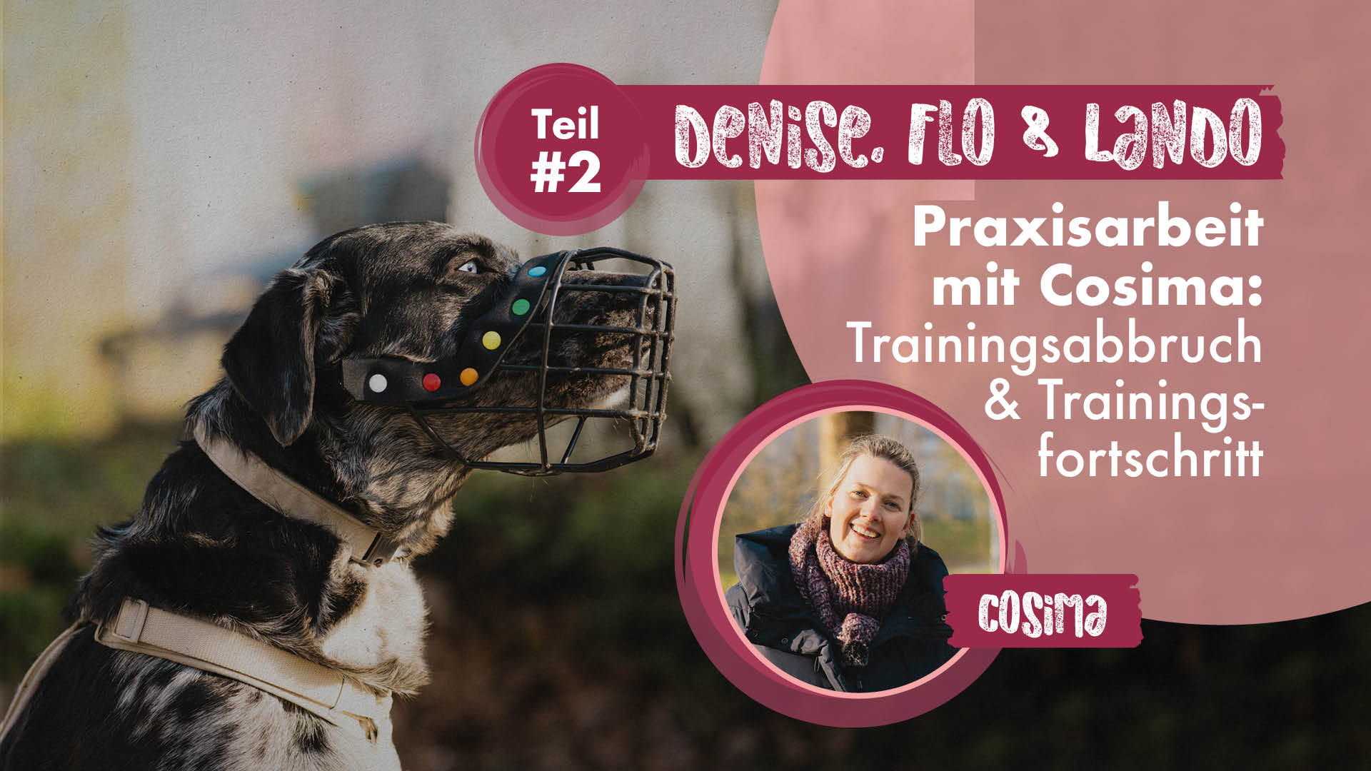 Denise, Flo & Lando Teil 2 | Praxisarbeit mit Cosima: Trainingsabbruch und Trainingsfortschritt
