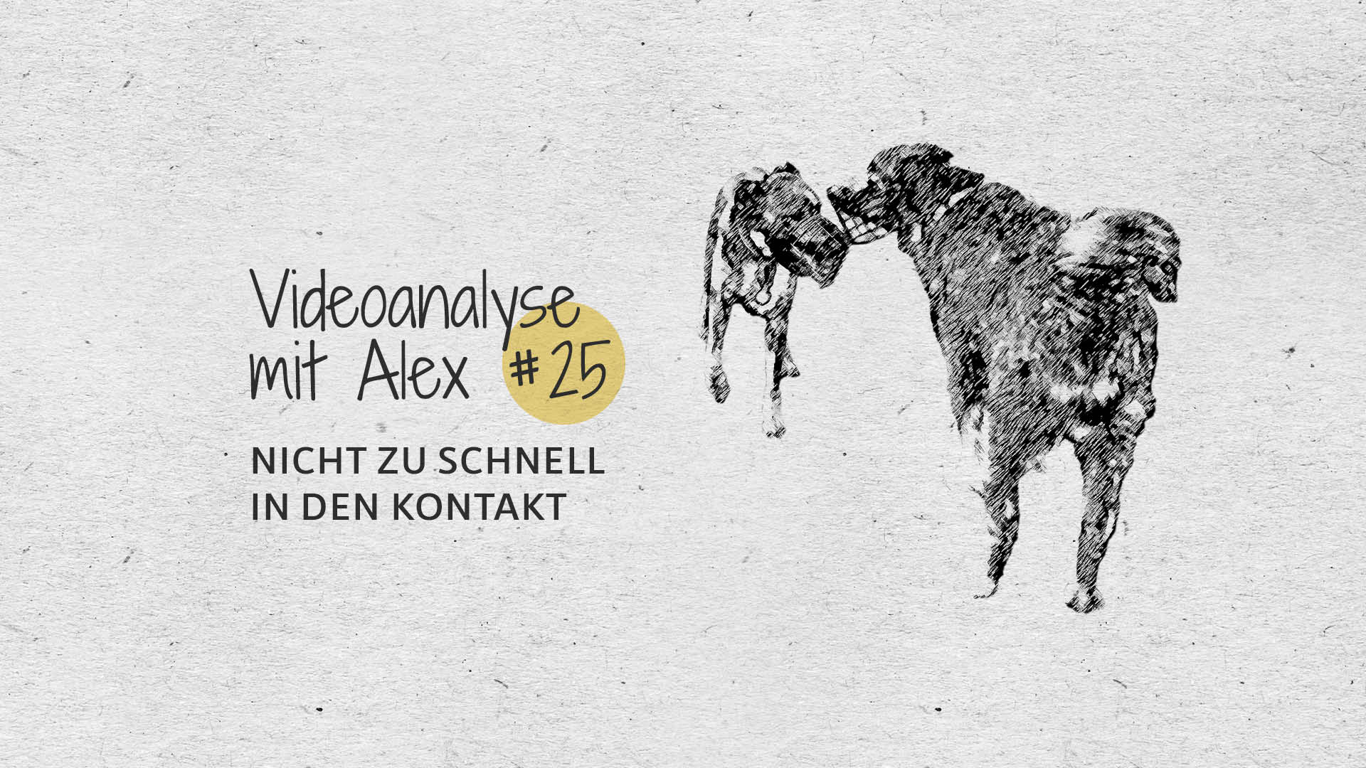 #25 Videoanalyse mit Alex: Nicht zu schnell in den Kontakt