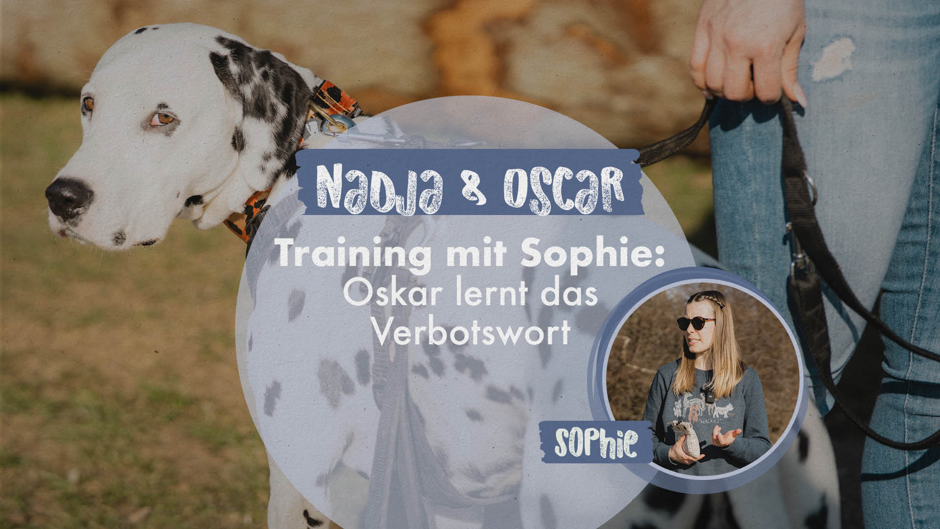 Nadja & Oscar | Training mit Sophie: Oskar lernt das Verbotswort