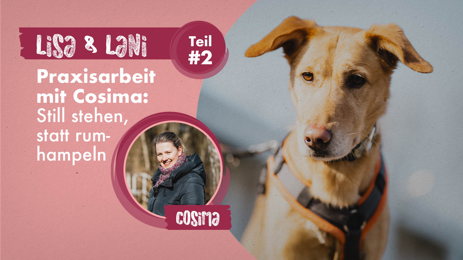 Lisa & Lani Teil 2 | Praxisarbeit mit Cosima: Still stehen, statt rumhampeln