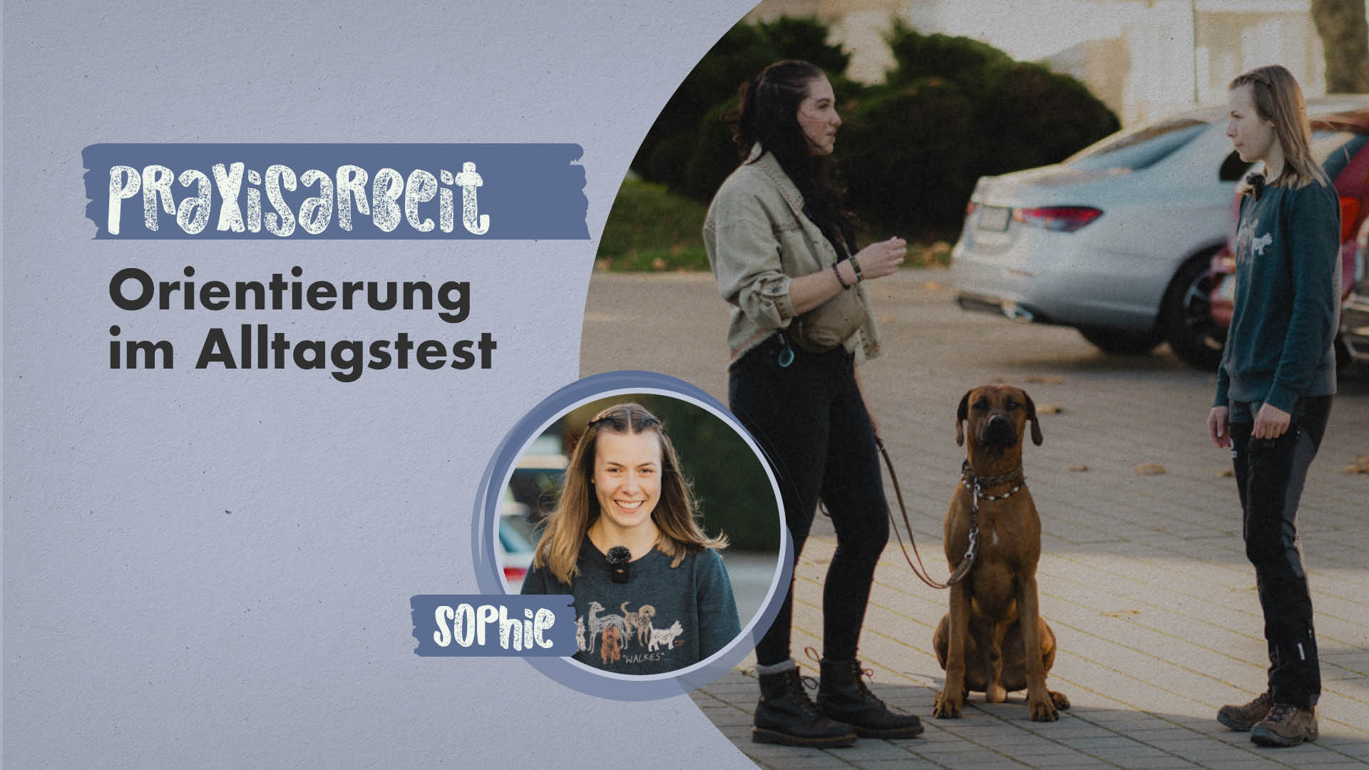 Franziska & Nando | Praxisarbeit mit Sophie: Orientierung im Alltagstest