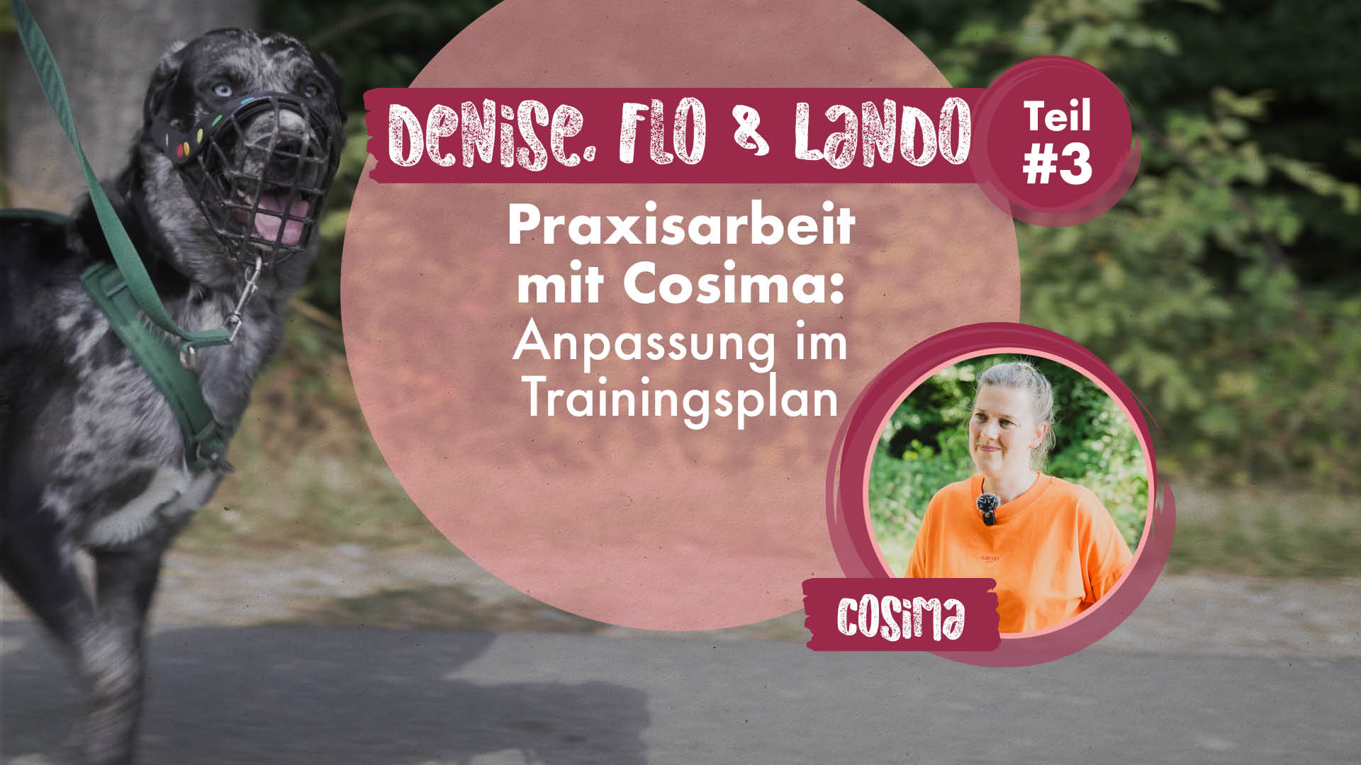 Denise, Flo & Lando Teil 3 | Praxisarbeit mit Cosima: Anpassung im Trainingsplan