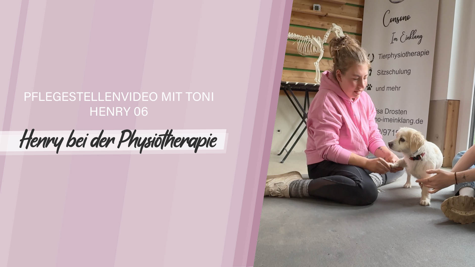 Pflegestellenvideo Henry 06