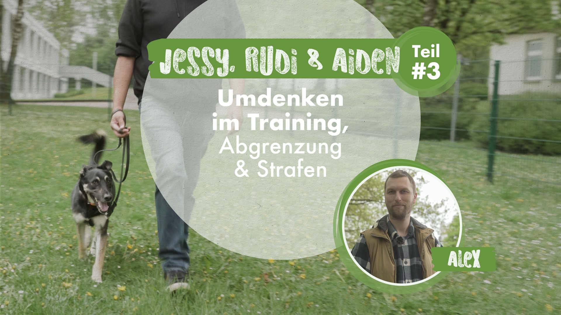 Jessy, Rudi & Aiden Teil 3 | Umdenken im Training, Abgrenzung & Strafen