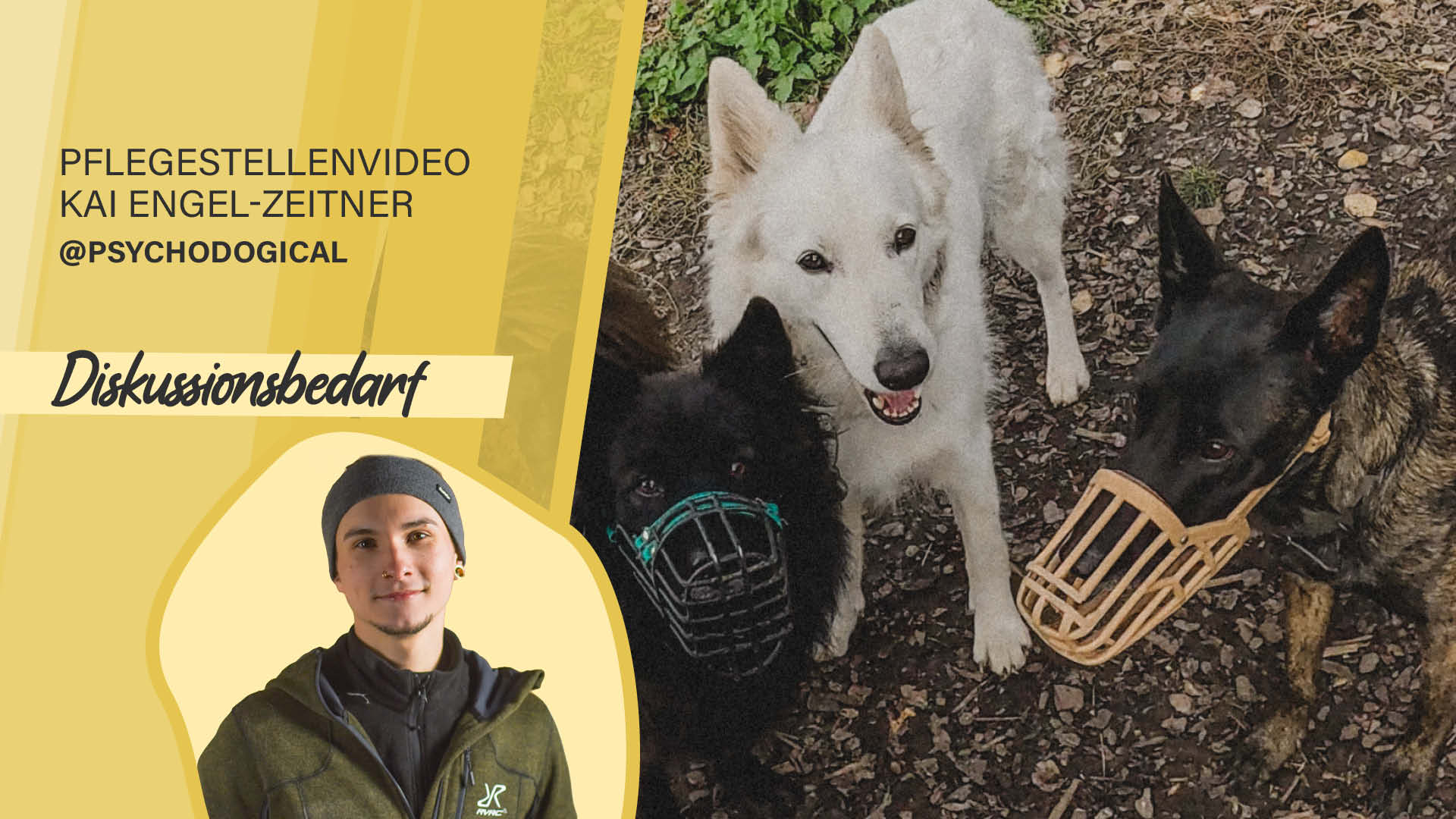 Pflegestellenvideo Kai Engel-Zeitner – Diskussionsbedarf