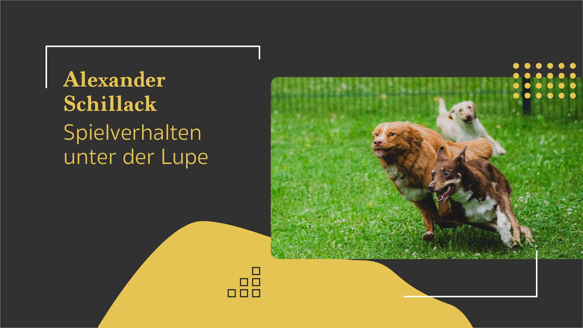 Alexander Schillack – Spielverhalten unter der Lupe