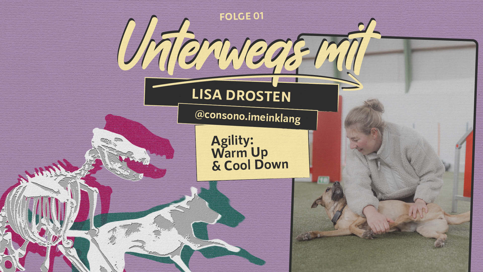 Unterwegs mit Lisa | Folge 1 – Agility: Warm Up & Cool Down