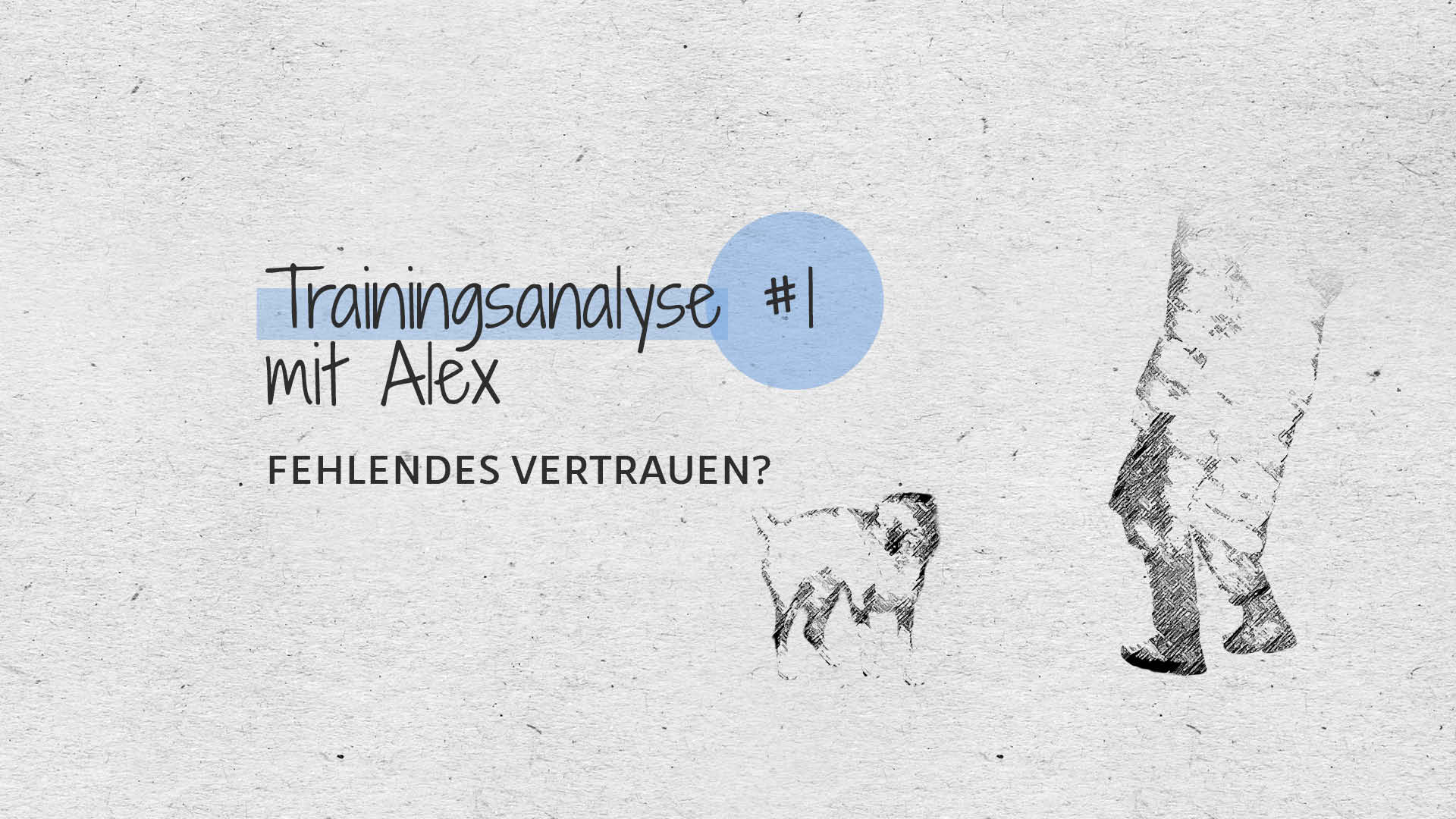 #1 Trainingsanalyse – Fehlendes Vertrauen?